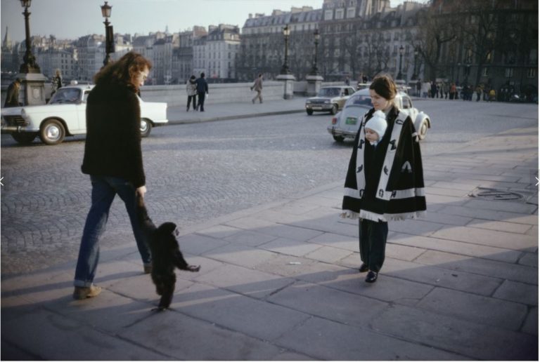 Man walking monkey pet